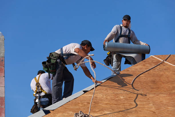 Best Roof Restoration Services  in Mount Oliver, PA